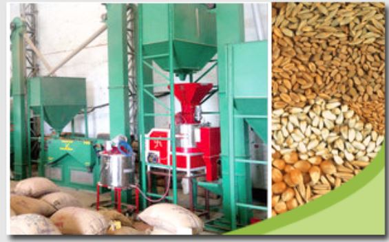 Nut and Peanut Agro Industry
